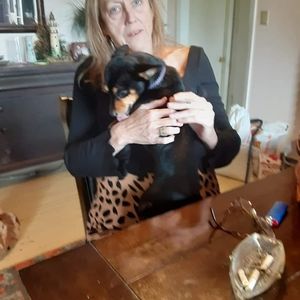 Meet your Posher, Linda